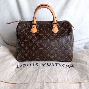Louis Vuitton Speedy 30 Monogram